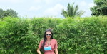 Suppharat profile icon