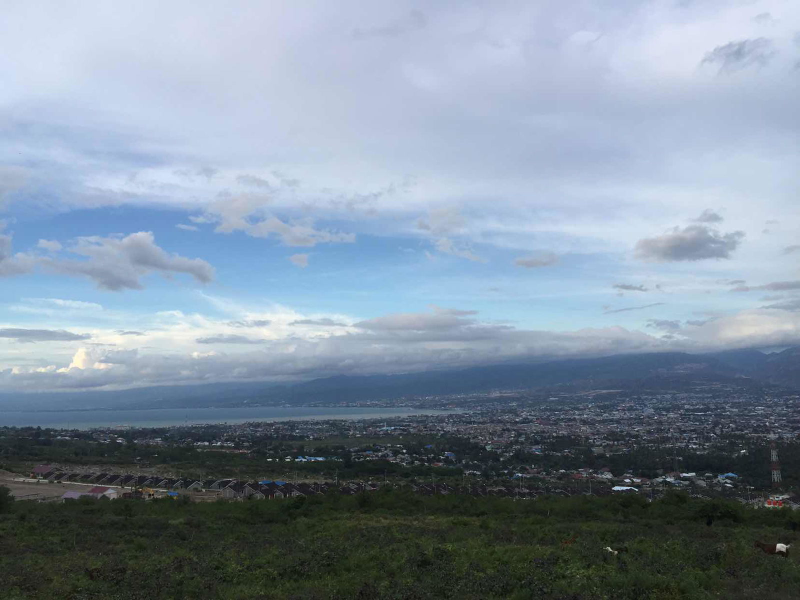 Reva Silvyna profile icon