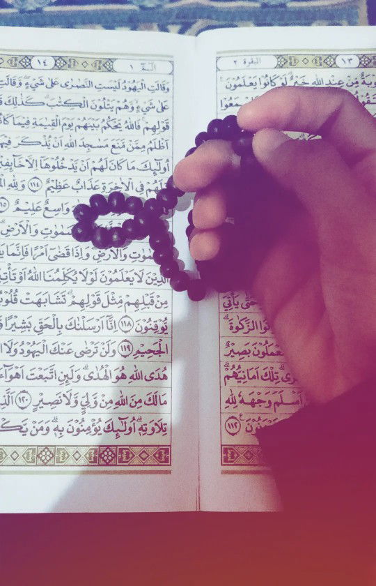 Aida Oll Shopp profile icon