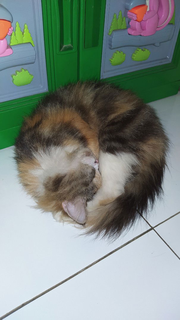 Evita Mega profile icon