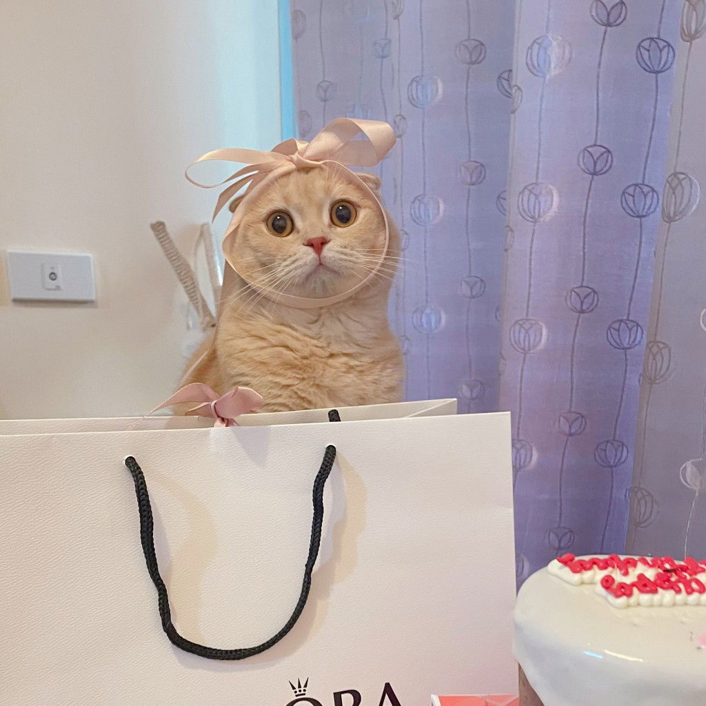 Sasinipa profile icon