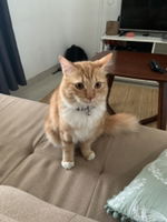 mamaminty profile icon