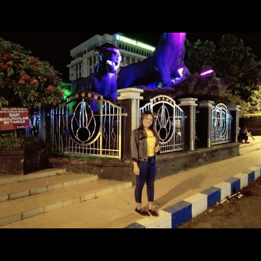 Anggita feri Dinarwati profile icon