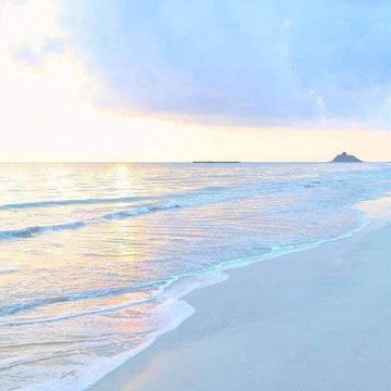 S.Zaidatul profile icon