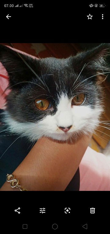 Dwi Nur Indayani profile icon