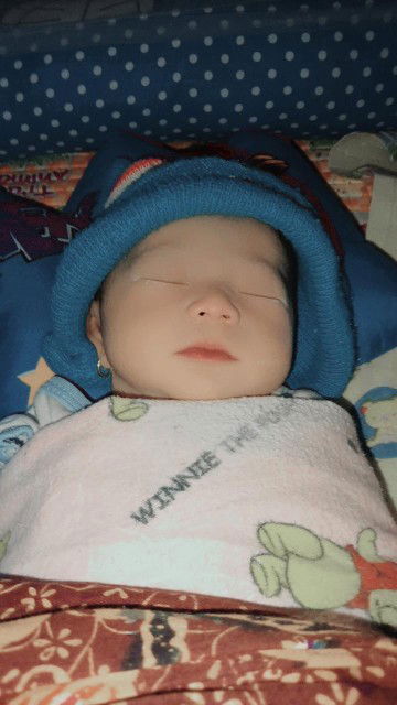 elma dea octavia profile icon