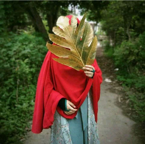 Rezky Zetia Whytea profile icon