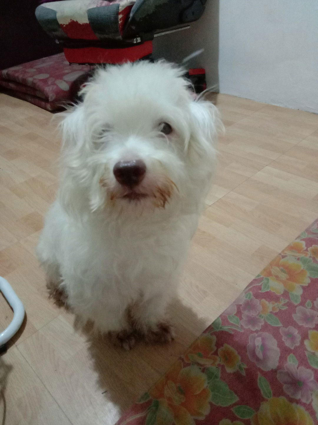 First time mom profile icon