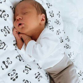 Zej Allertse profile icon