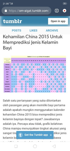 kalender Cina X JK bayi