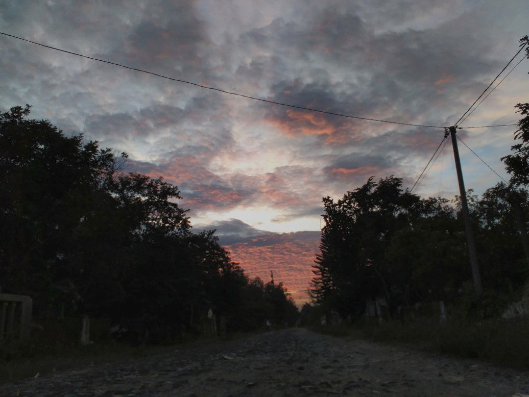 a. nurin profile icon