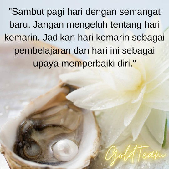 suhan zainab nur profile icon