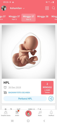 hamil