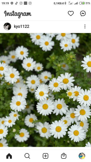 Nathalia Simanjuntak profile icon