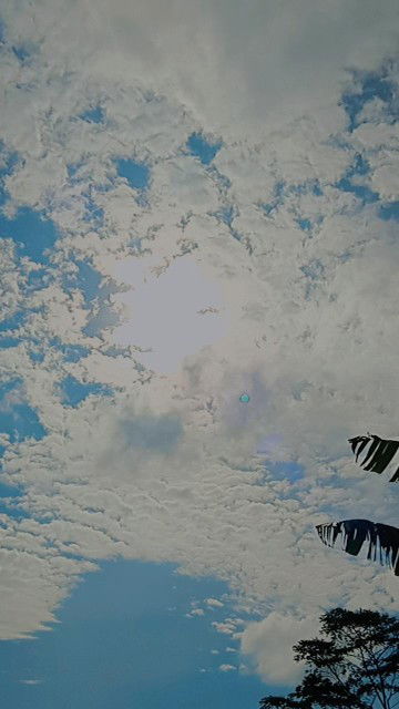 Rudin Akhmad profile icon