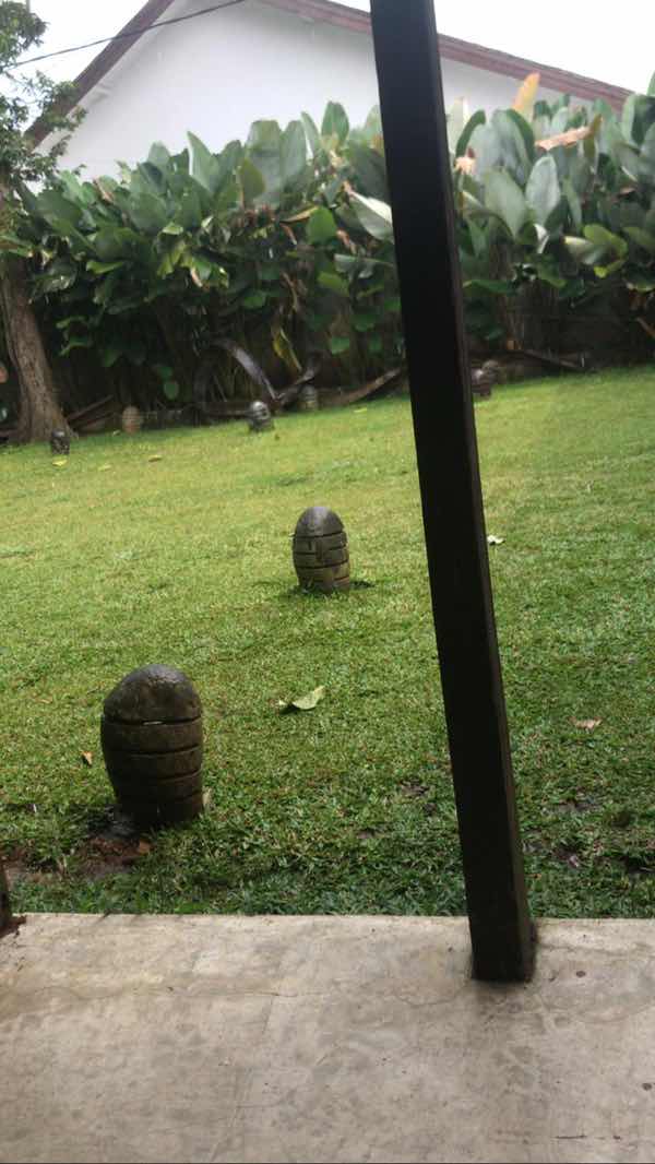 khaira yusuf profile icon