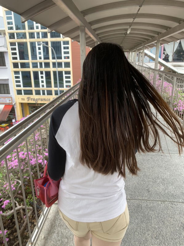 purplePig profile icon