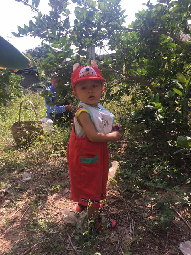 พัฒนาการของหนุ่มน้อย