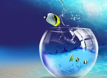 Nguyễn cường profile icon