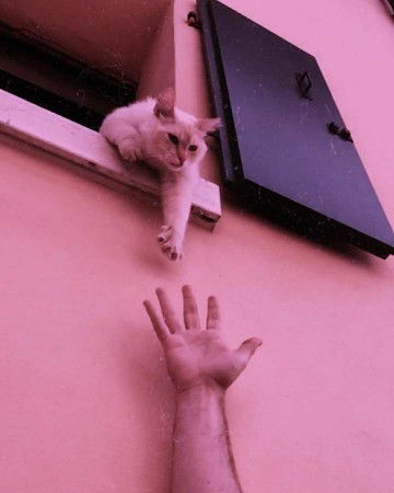 N. T. Ngọc Tú profile icon