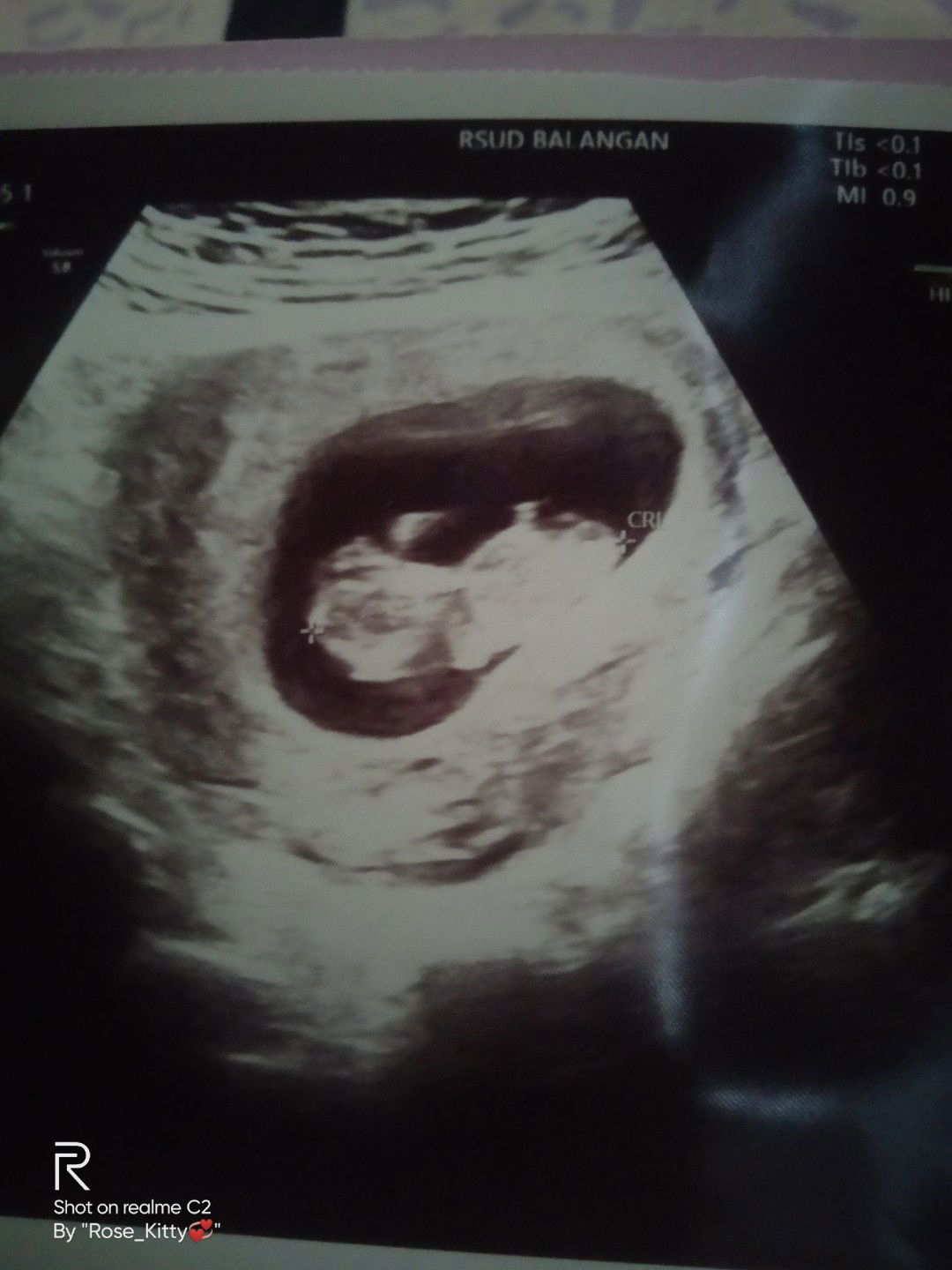 Rose_Kitty? profile icon