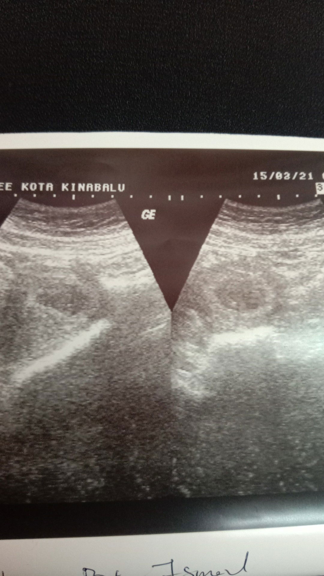 noorbiya@leya profile icon