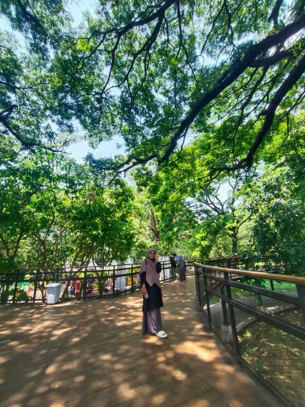 Aisyah Ilmi Primadani profile icon