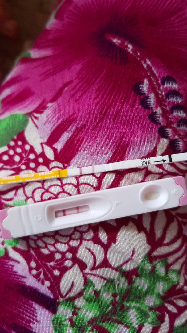 Vita faisal Putri profile icon