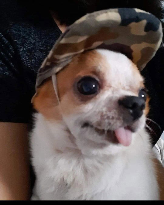 cheek bones19 profile icon