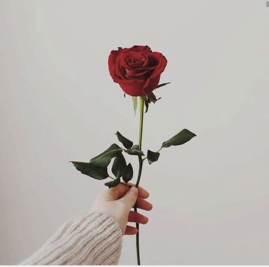 Meliana Assidiqi profile icon