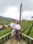 Ayu Evania profile icon