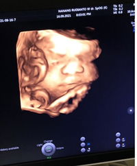 Shella Pramastia profile icon