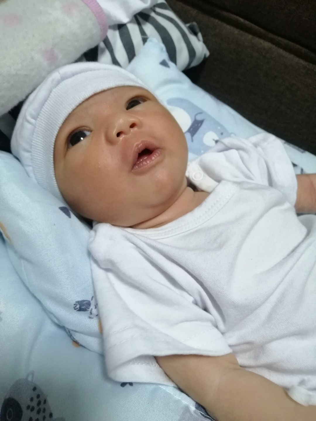 Kaye Solonia profile icon