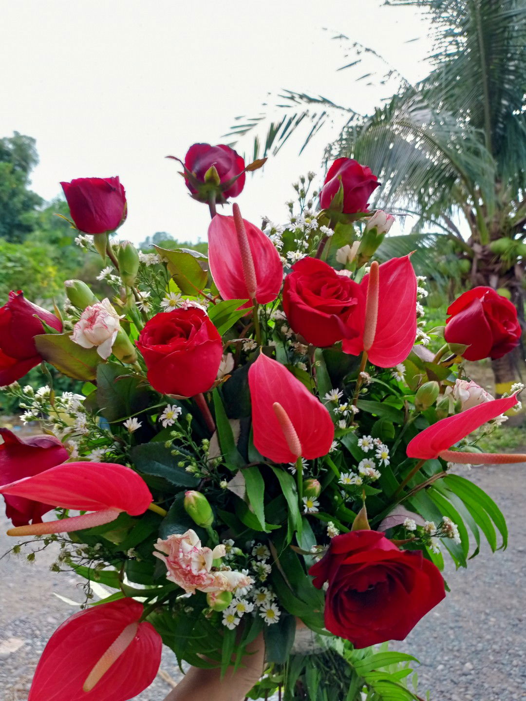 Jake Duran profile icon