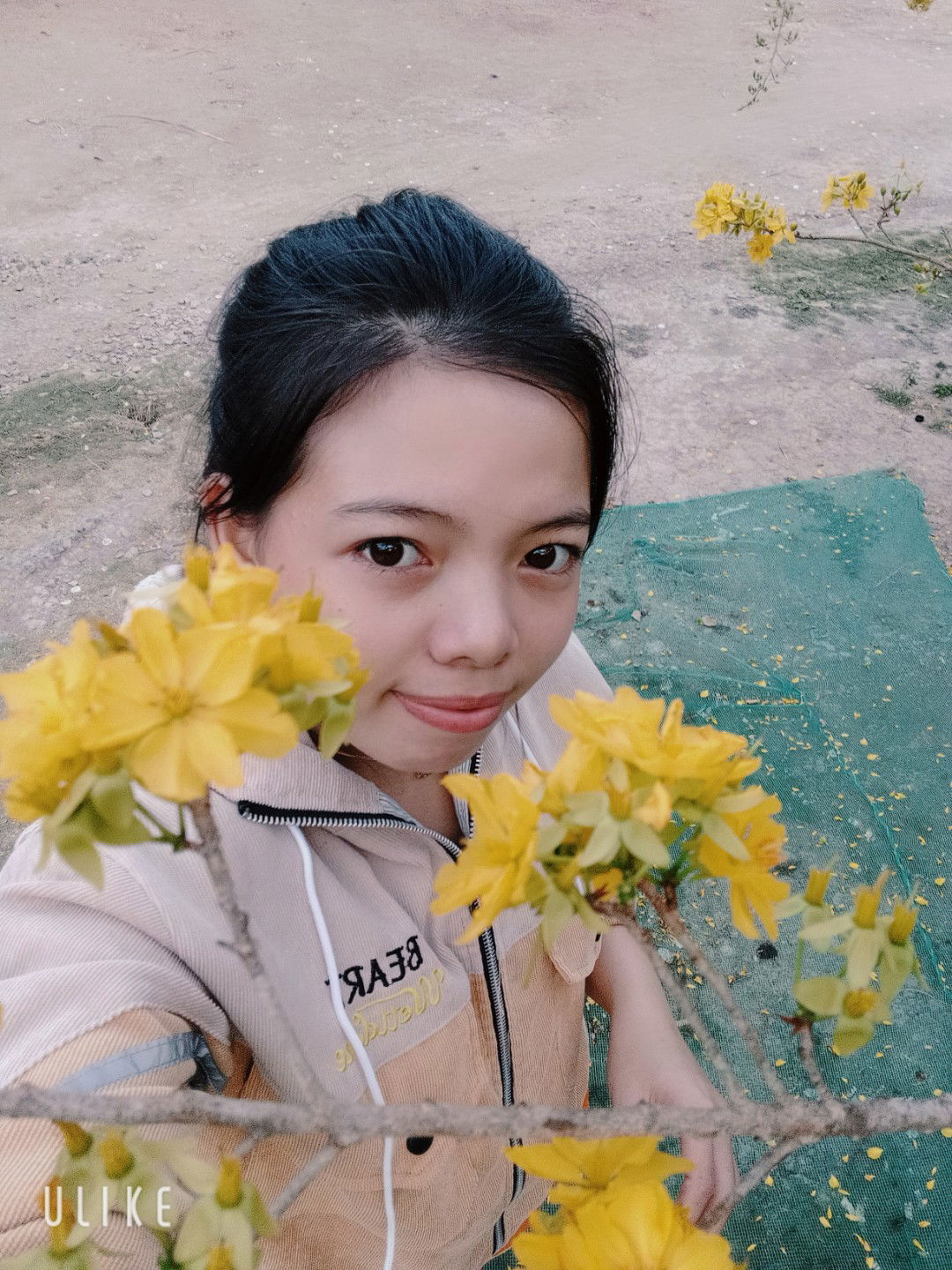 Như Huỳnh profile icon