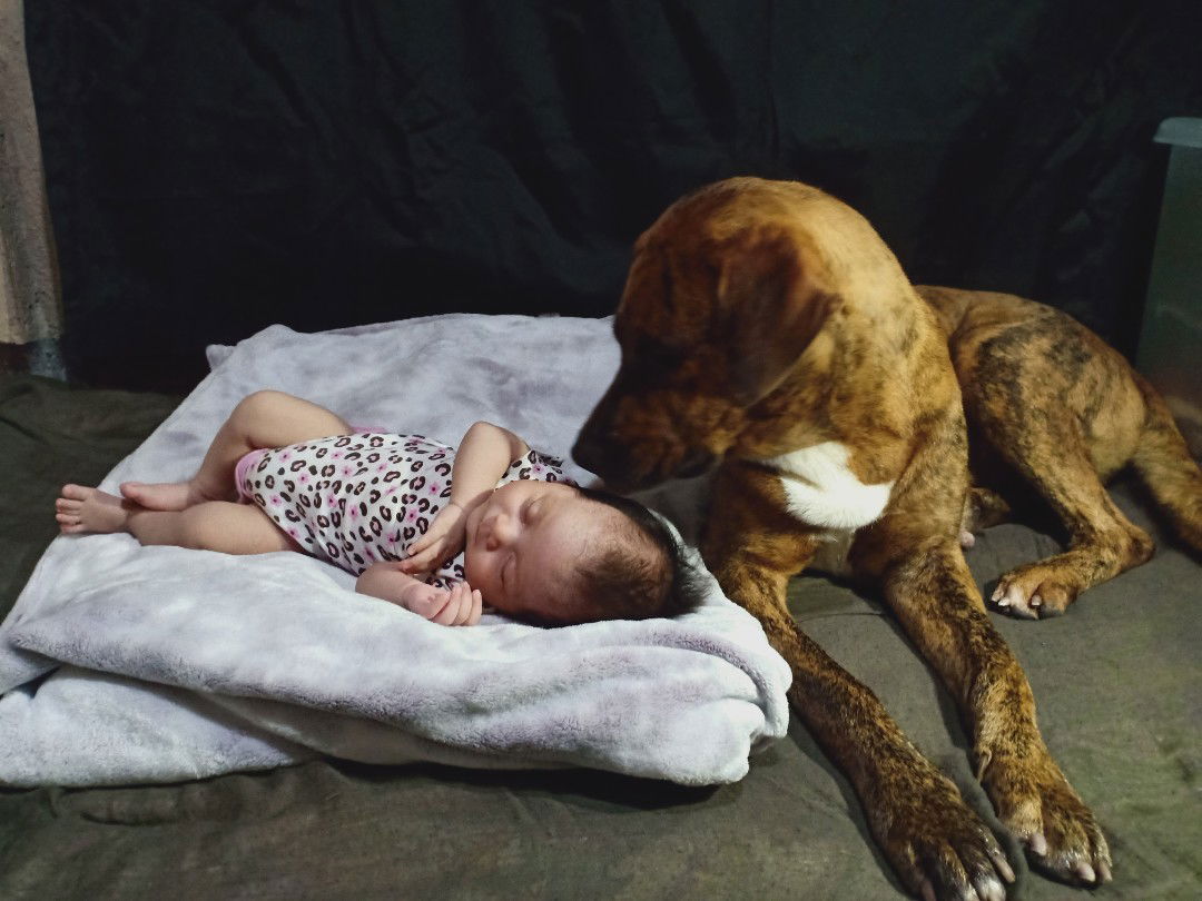 Are yan profile icon