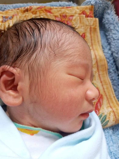 Rani Amelia profile icon