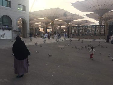 Sana San profile icon