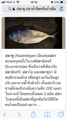 ปลาทู