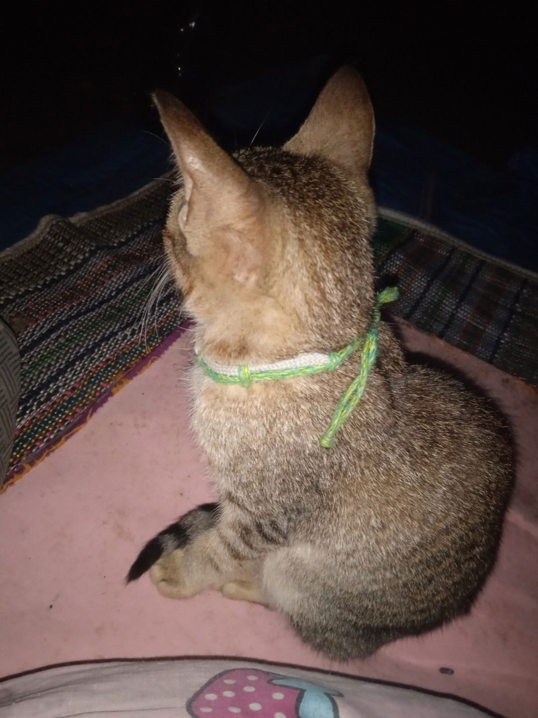 Lisahira budie profile icon