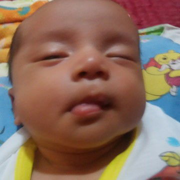 dewi masitoh profile icon