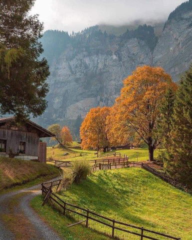 Pn Adillah profile icon