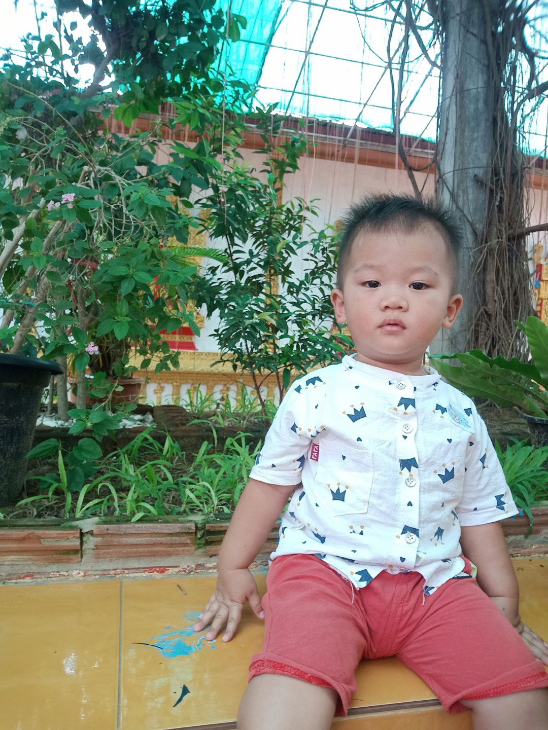 พัชรี พรมใบ profile icon