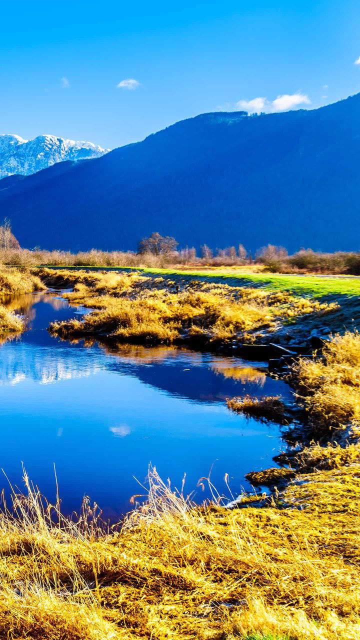 N Aisyah R profile icon