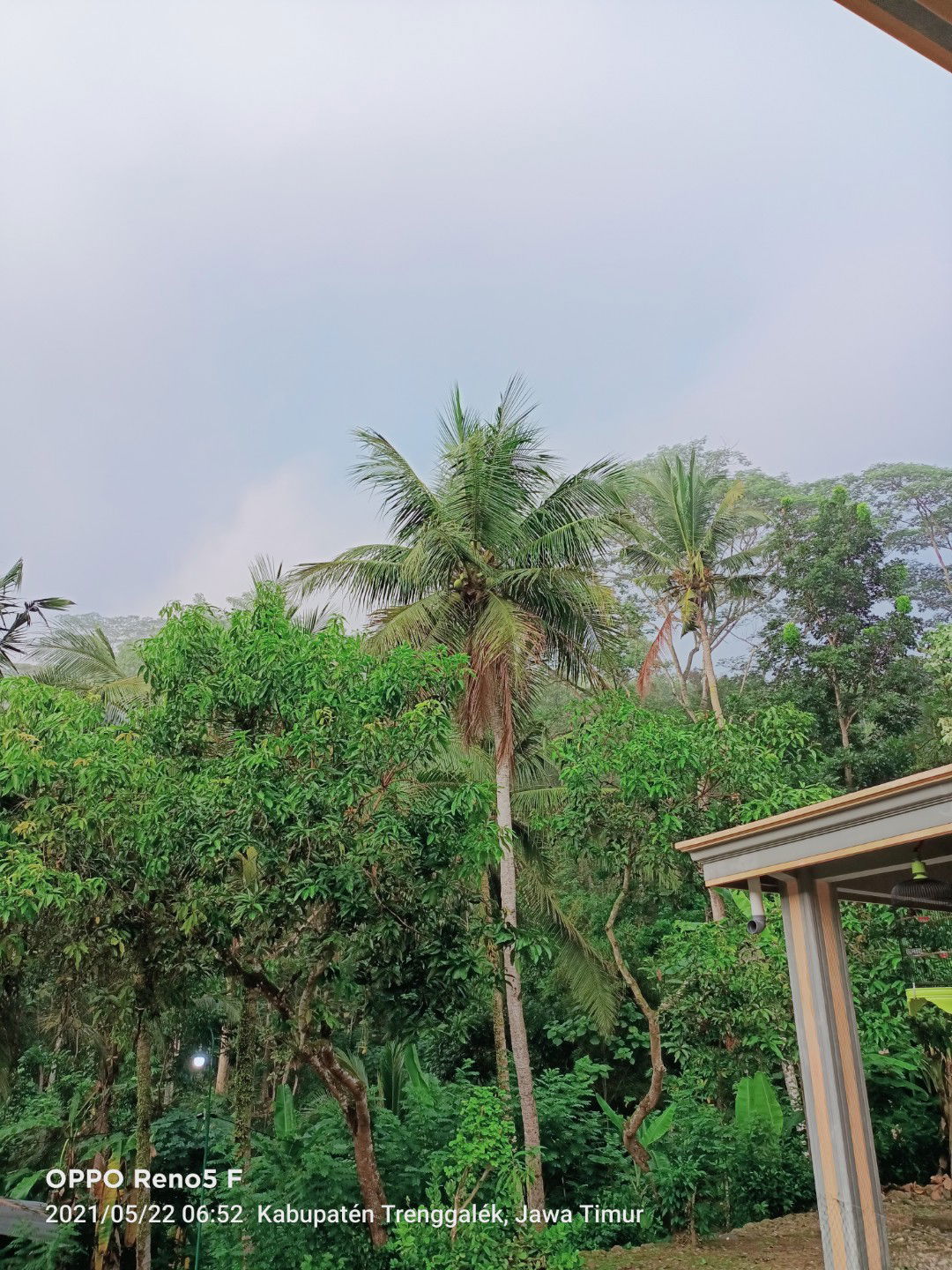 istikomah profile icon