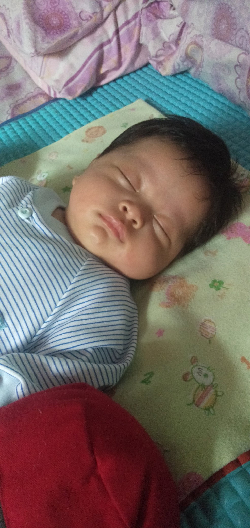 Susi Susanti profile icon