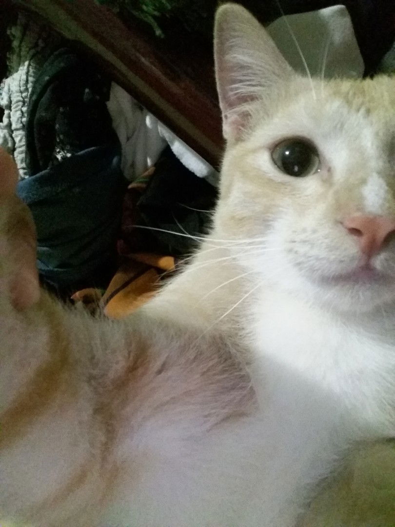 Queen Igasan profile icon