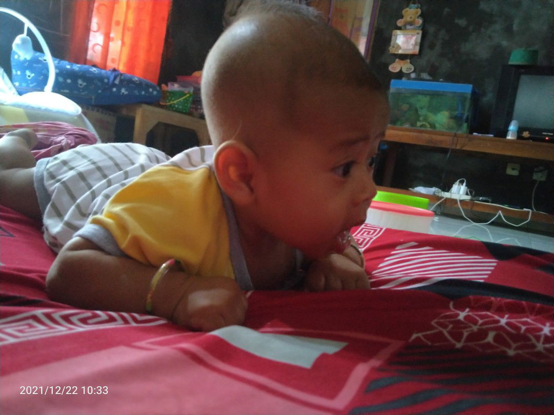 Mazidha Farichatun Ulfah profile icon