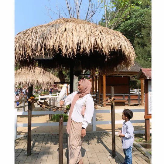 Lusi Saraswati profile icon