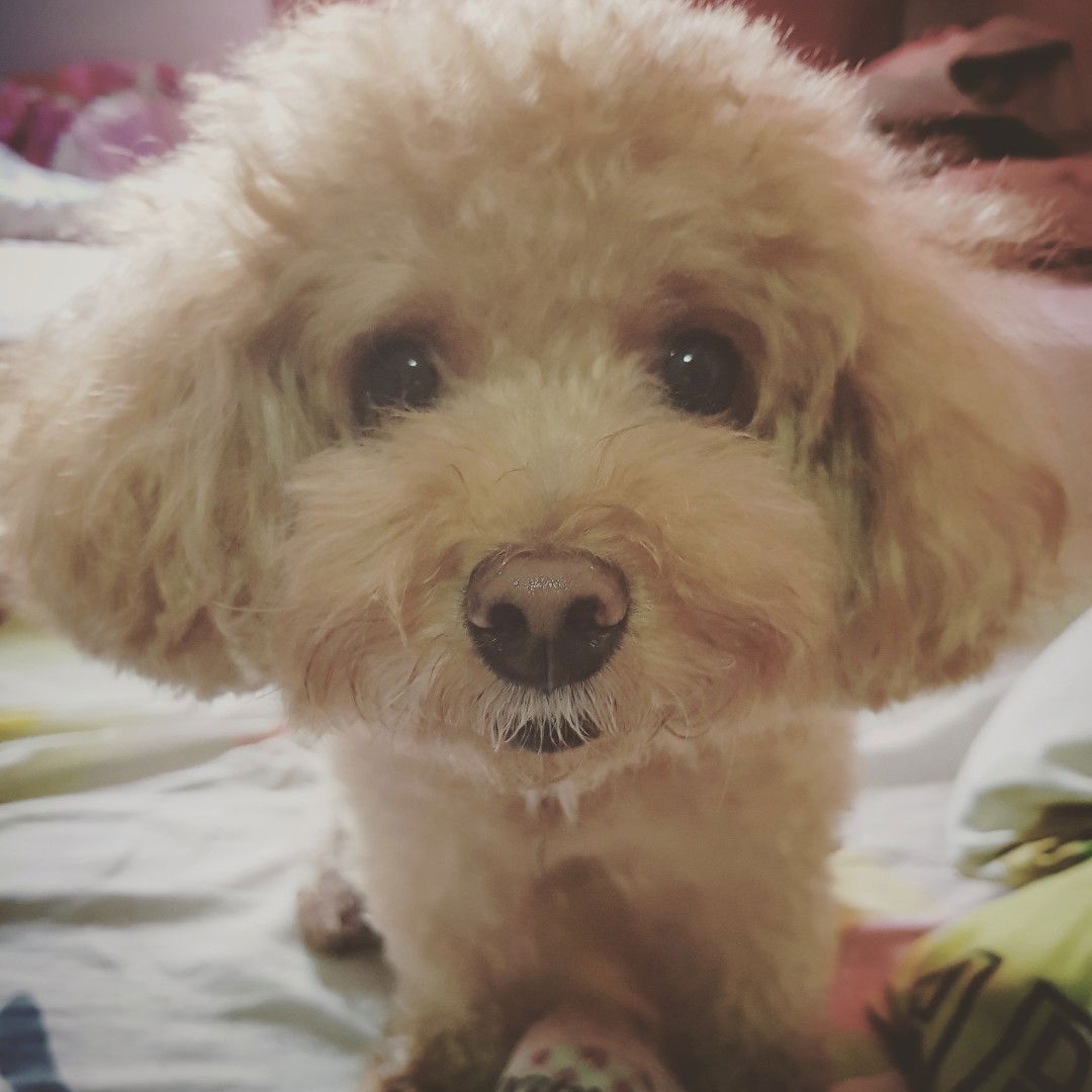 Fran G. profile icon